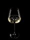 Glassserie "Etoilé" Sektglas 480ml (2)