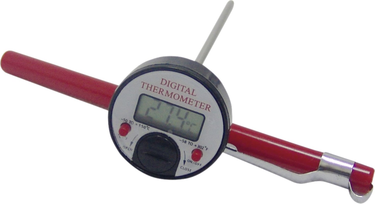 Einstech-Thermometer (1)