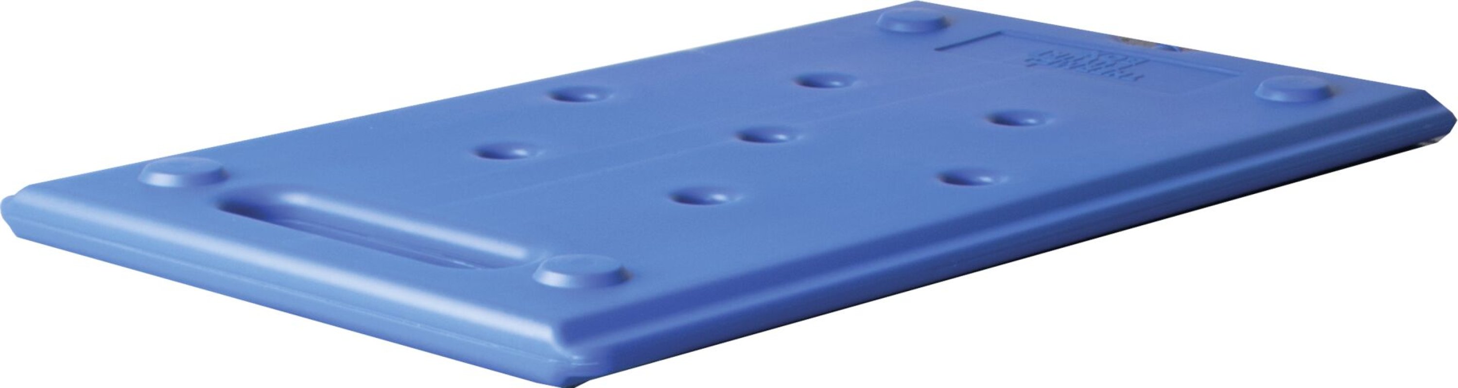 Kühlakku GN 1/1 blau - 3°C (Verschlusskappe: grün) (4)