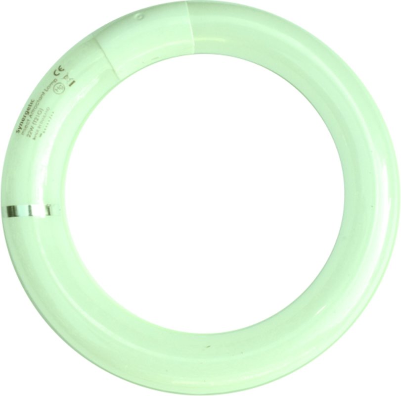 Leuchtstoffröhre (1)